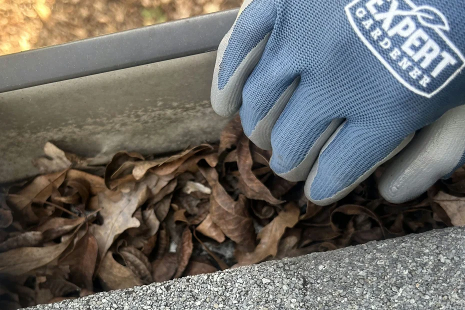 Gutter Cleaning Boiling Spring Lakes