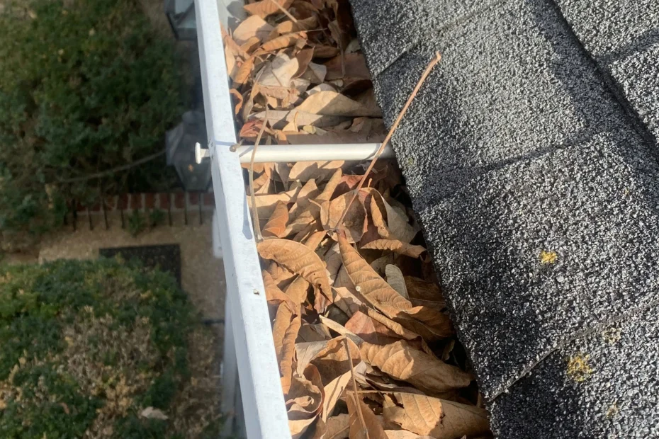 Gutter Cleaning Boiling Spring Lakes