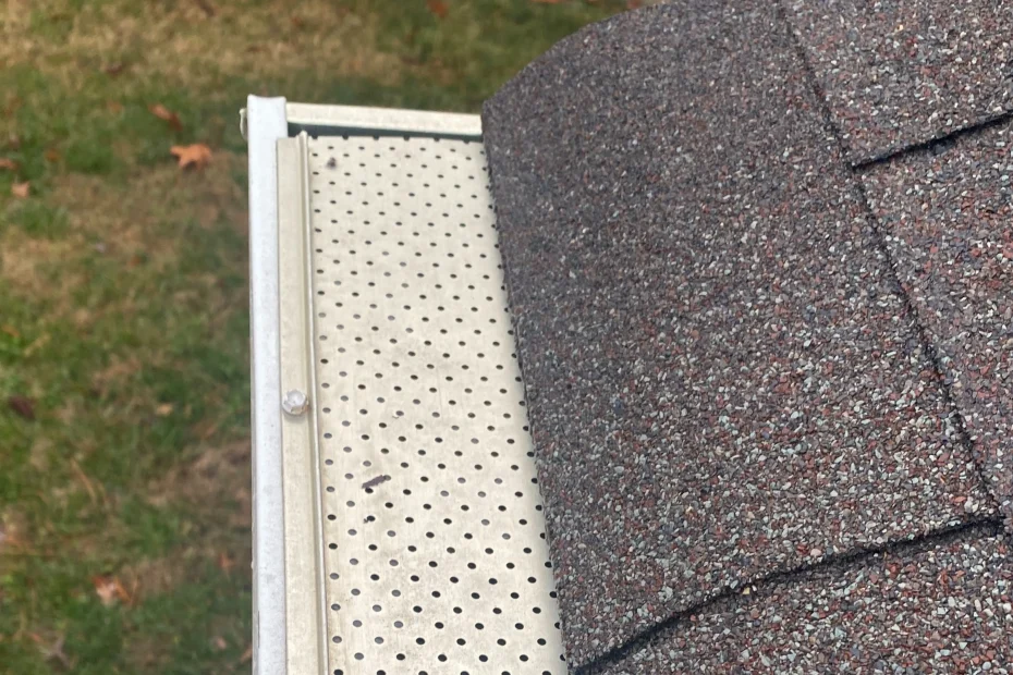 Gutter Cleaning Boiling Spring Lakes