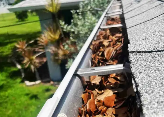 Gutter Cleaning Boiling Spring Lakes home page